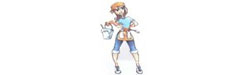 Domestic Cleaning