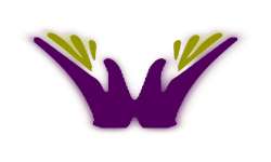 Care Services