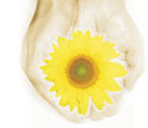 Elite Care Solutions 